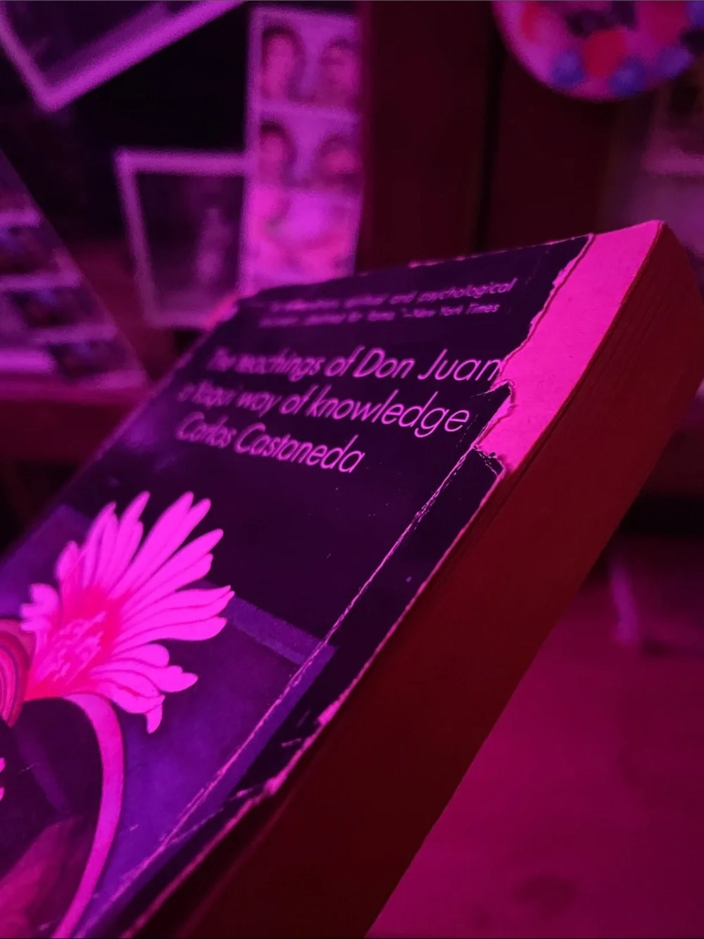 Teachings of Don Juan a Yaqui way of Knowledge Carlos Castaneda - used book